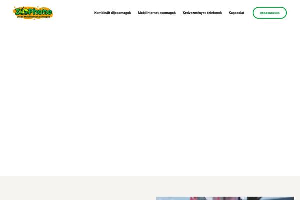 MaxiNet theme site design template sample