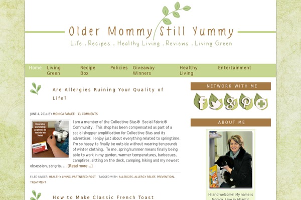 Prettychic theme site design template sample