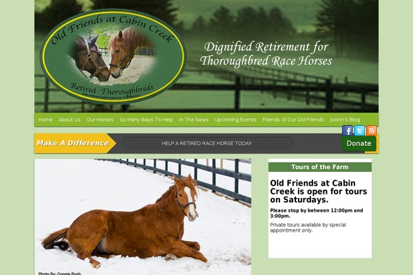 Foundation theme site design template sample