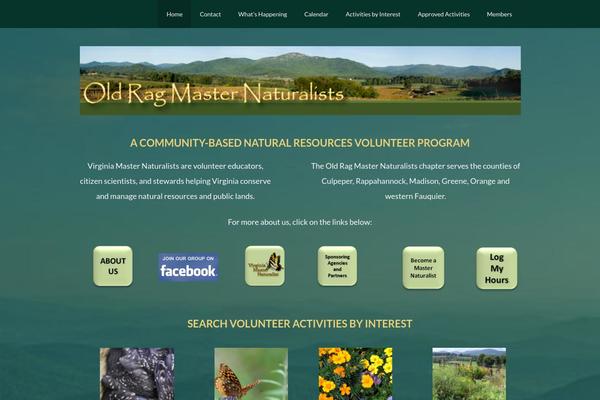 Green-theme theme site design template sample