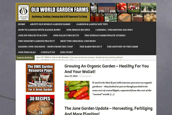 Mediavine-trellis theme site design template sample