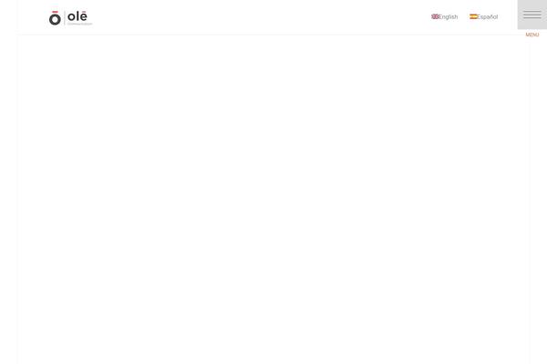 Nuovowp theme site design template sample