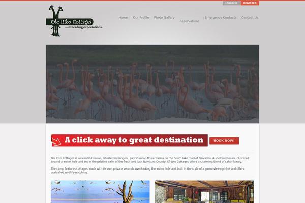 Salutation theme site design template sample