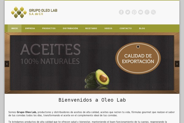 Pinboard theme site design template sample