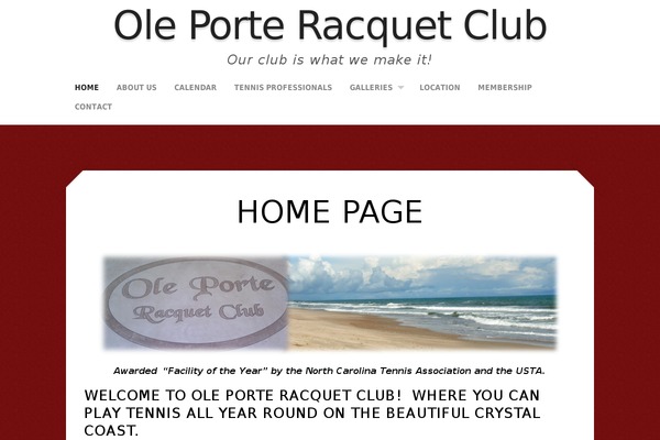 Capture theme site design template sample