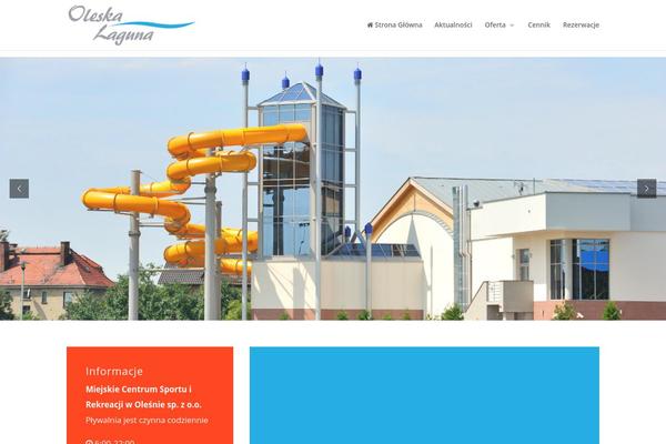 Evander theme site design template sample