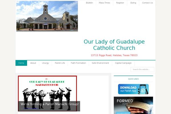 News Pro theme site design template sample