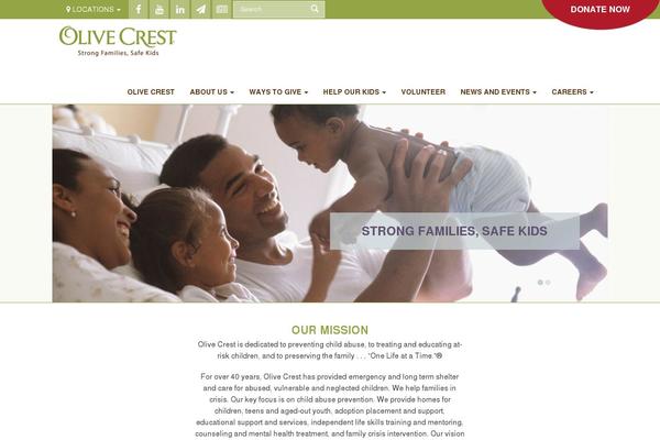 Total theme site design template sample