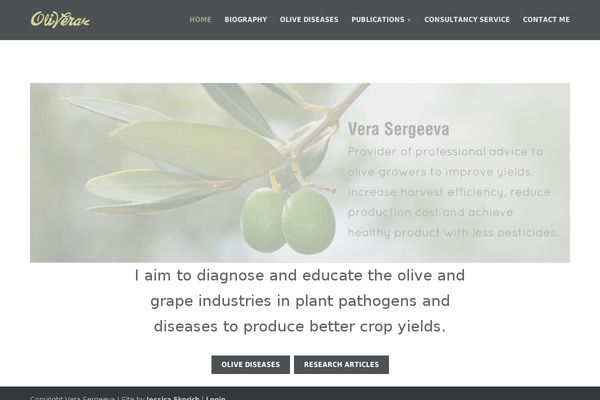 Site using Captain Slider plugin