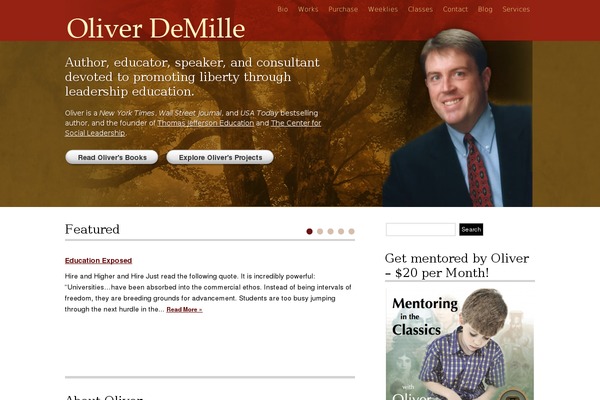 consultant theme site design template sample