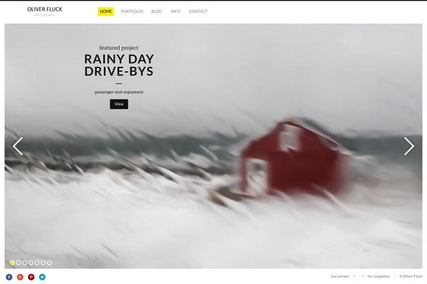 Fluxus theme site design template sample