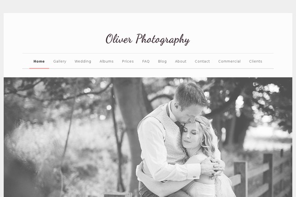 Fineliner theme site design template sample