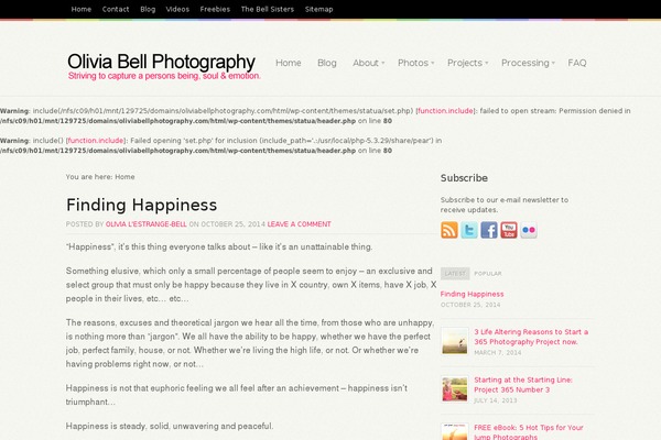 Statua theme site design template sample