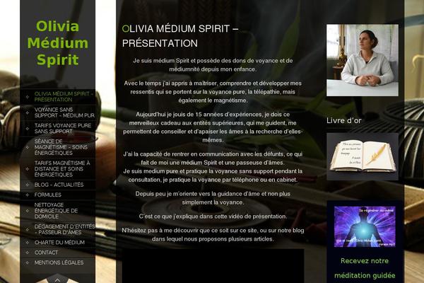 Skt_full_width_pro theme site design template sample