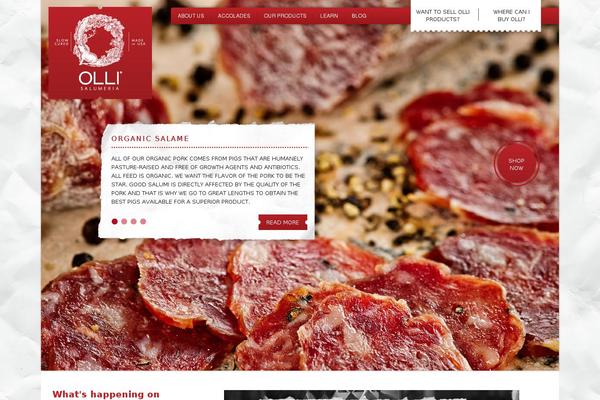 olli.com site used Olli