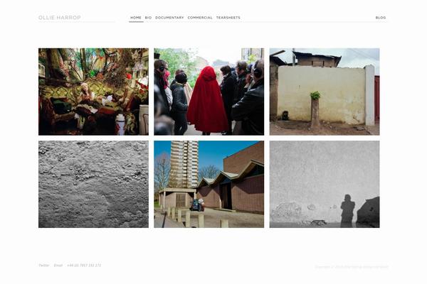 Tjhole theme site design template sample