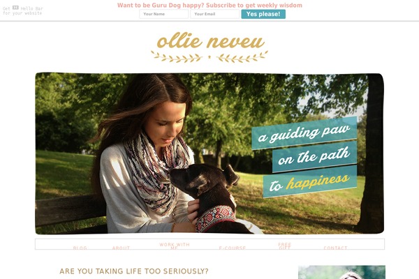 Site using Alpine PhotoTile for Instagram plugin
