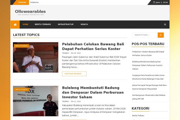 Schema theme site design template sample