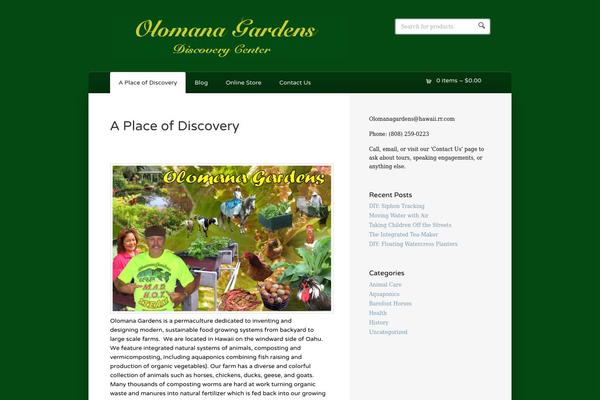 Wootique theme site design template sample
