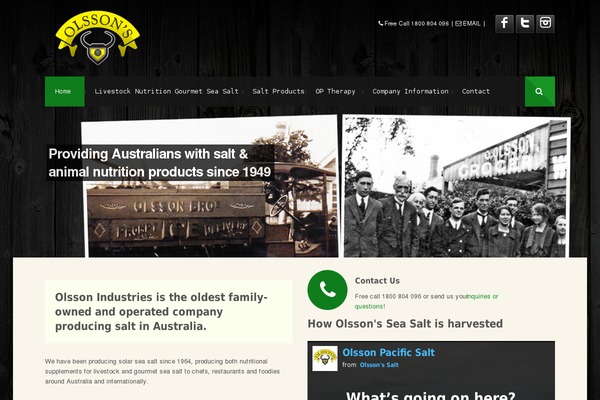 EFFEKTIVE theme site design template sample