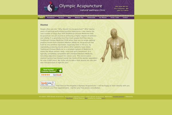 Silver-light-01 theme site design template sample
