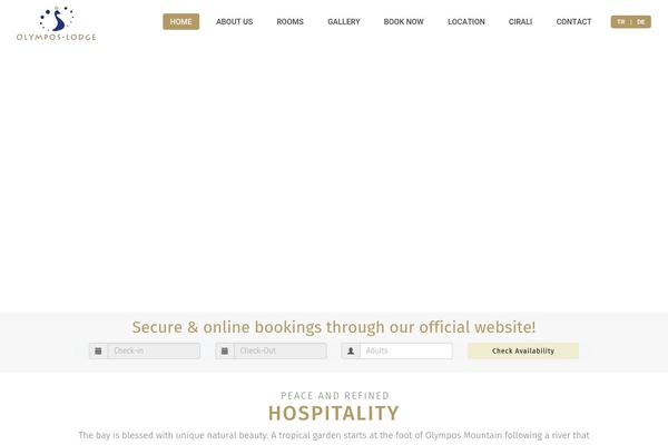 The7 theme site design template sample