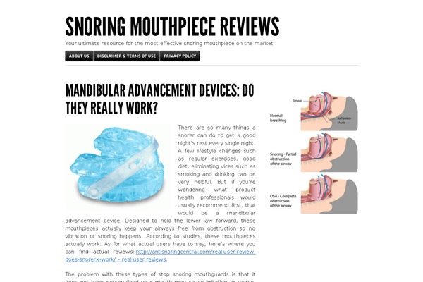 Blaskan theme site design template sample