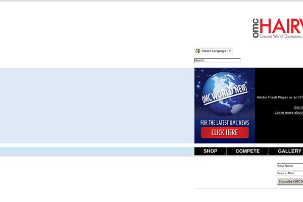 Site using Newsletter-leads plugin