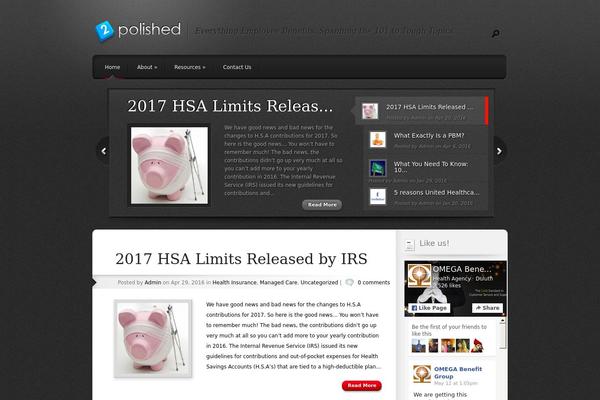 Polished theme site design template sample