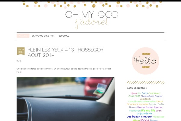 Donovan theme site design template sample