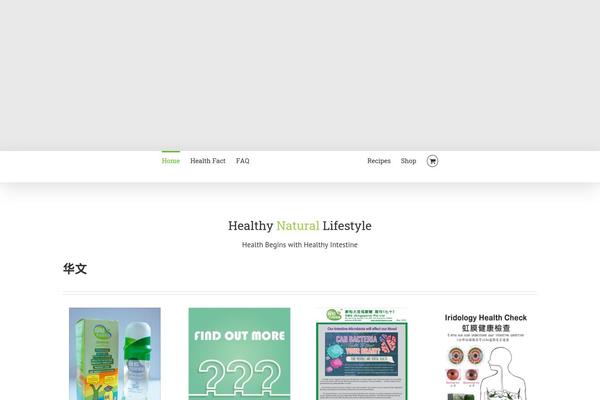 Site using MailChimp Widget plugin