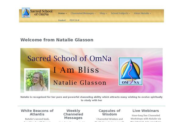 Site using Wise Chat plugin