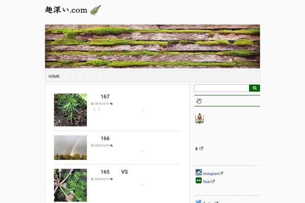 stinger6-child WordPress theme, websites list used stinger6-child theme stinger6-child theme websites examples