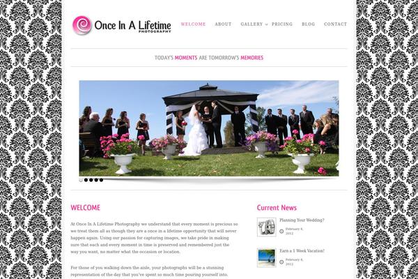 Beauty-premium theme site design template sample
