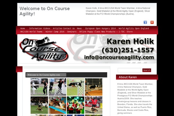 BlogoLife theme site design template sample