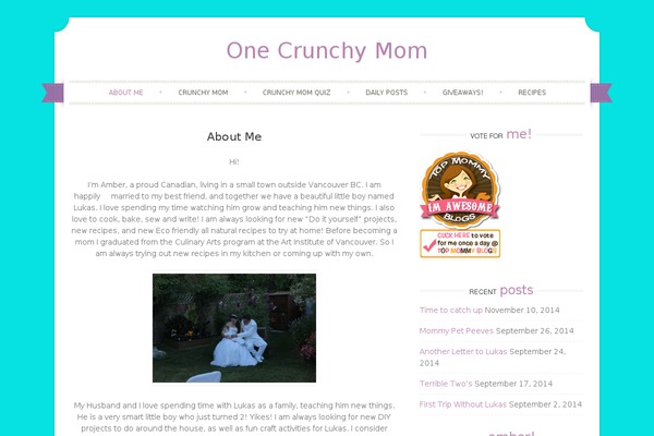 Sugar and Spice theme site design template sample
