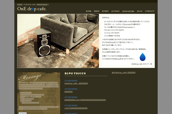 Site using Widget-options plugin