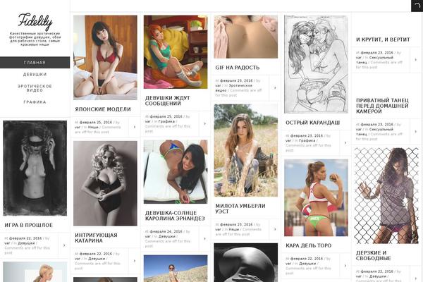 Site using Video Embed & Thumbnail Generator plugin