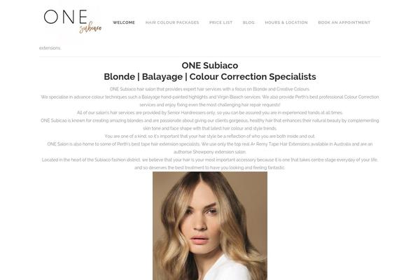 Site using Basic Instagram Widget plugin