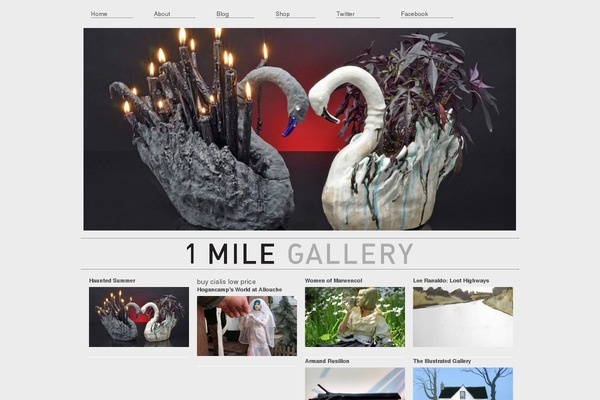 onemilegallery.com site used Designertheme