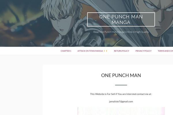Toivo Lite theme site design template sample