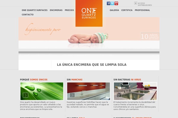One theme site design template sample