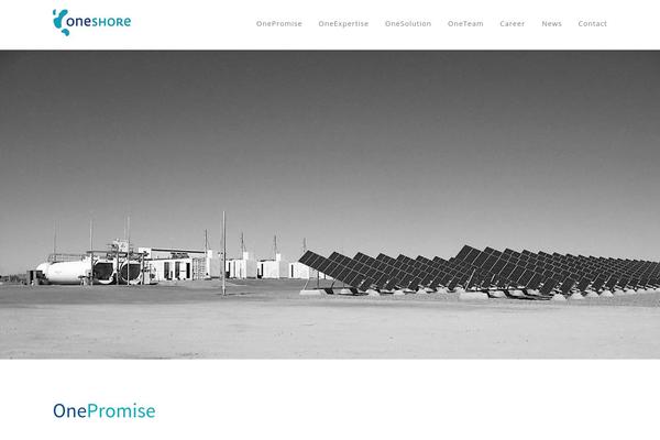oneshore.com site used Skylight