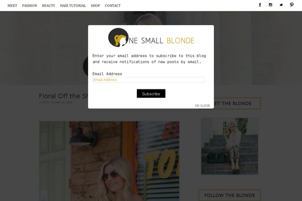 Site using Max Mega Menu plugin