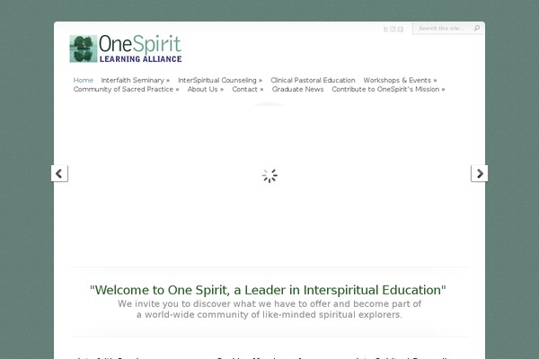 Chameleon theme site design template sample