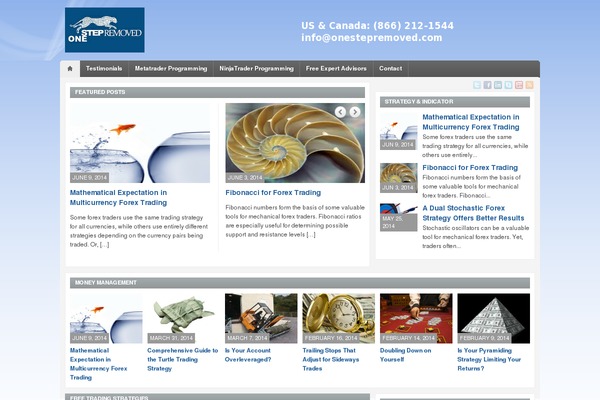 News Pro theme site design template sample