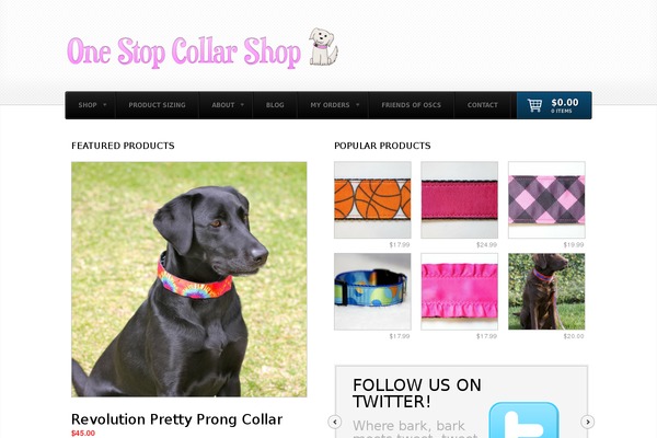 Shelflife theme site design template sample