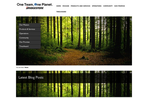 oneteamoneplanet.com site used Bridgestone