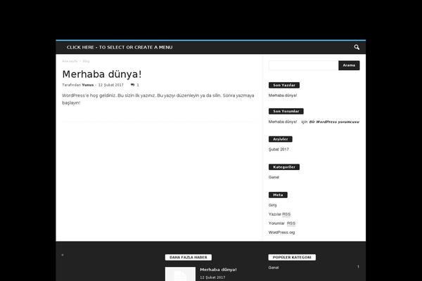 onhaber.net site used Birhaber