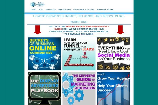Ridizain theme site design template sample
